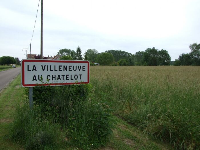 Le Saule Argenté