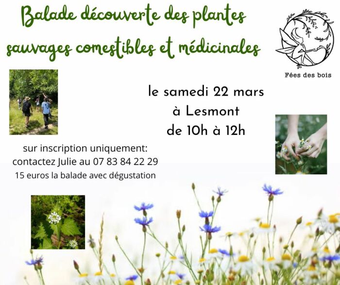 2025 03 22 - Plantes sauvages comestibles et médicinales - Lesmont.jpg