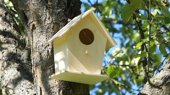 bird-house-2640932_1280.jpg