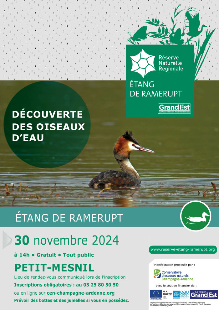 2024 11 30 - Découverte des oiseaux d'eau - CEN Champagne Ardenne Petit Mesnil.jpg