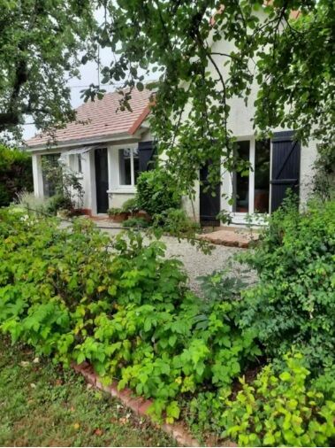 Petite maison dans la verdure.jpg