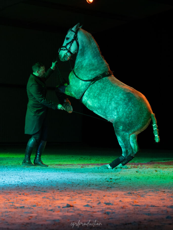 Spectacle équestre © TE de Champagne - Charlotte Bernard.jpg