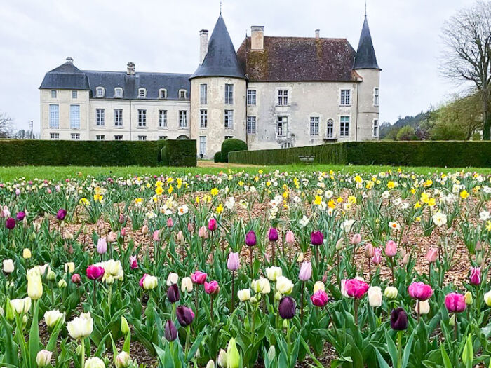 château de Ricey-bas.jpg