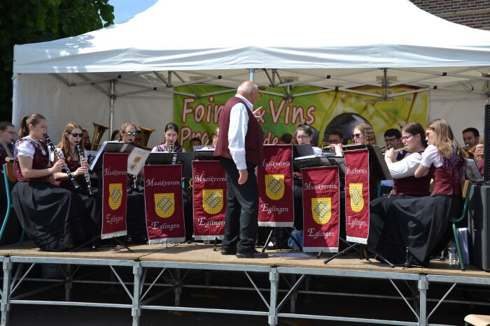 Foire aux vins. CP Camille Bollon.JPG