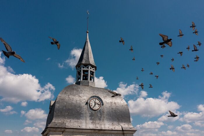 Eglise Saint-Quentin de Dienville 13 - © Studio OG (1).jpg