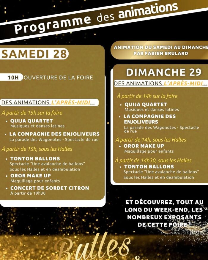 programme foire aux bulles.jpg