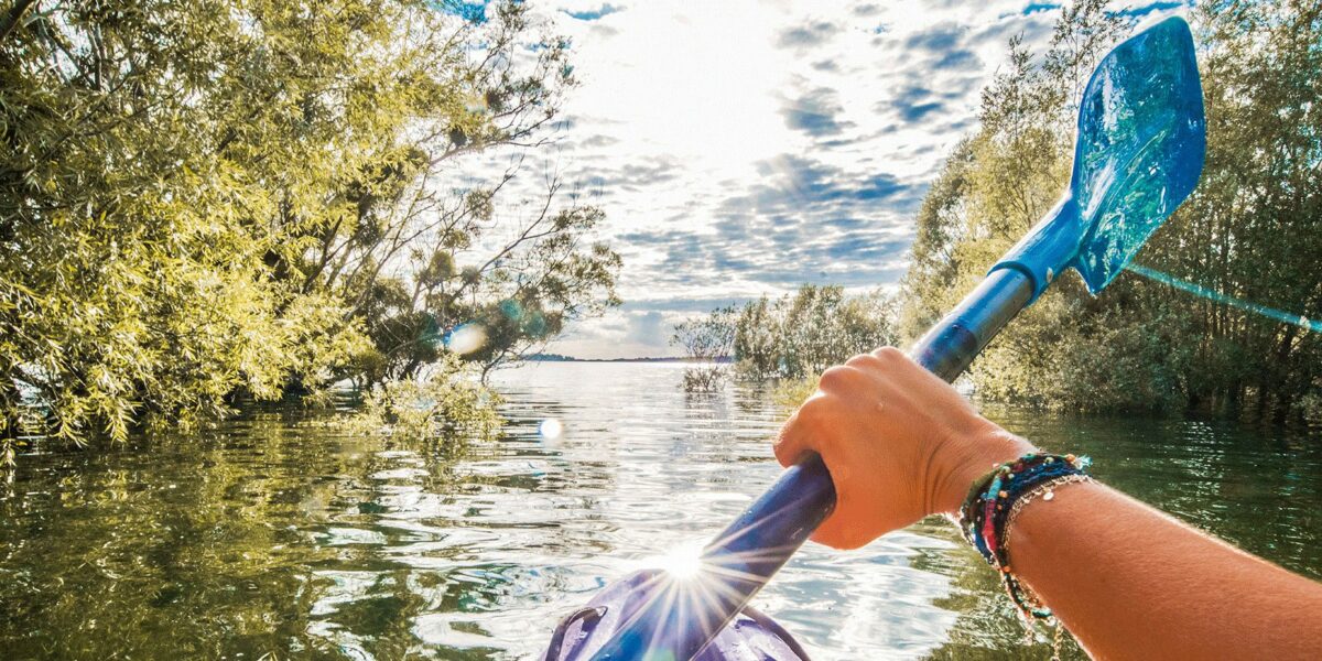 Kayak-en-forêt-immergée----©-Le-Bonheur-des-Gens