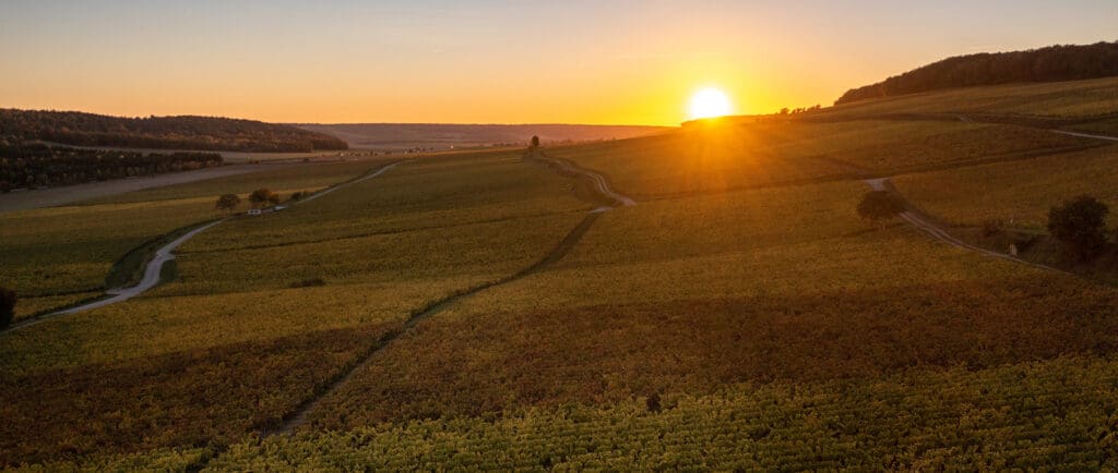 6 activités incontournables à faire cet automne dans l’Aube