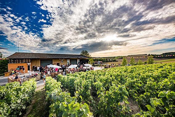 Route du Champagne en fête 11 - © Olivier Douard