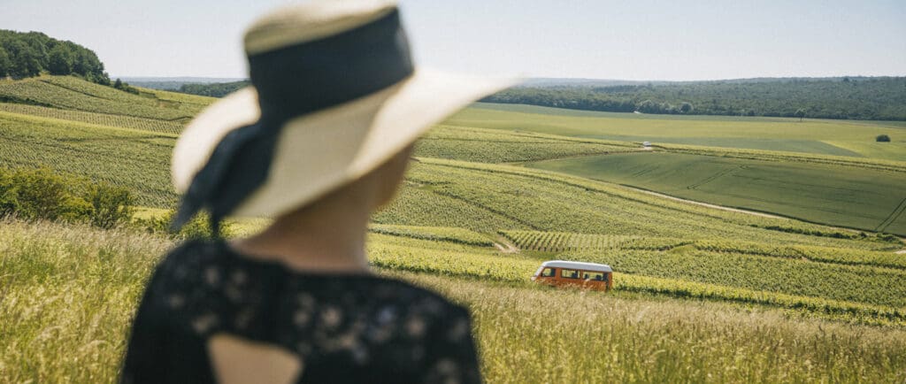 L’Aube en Champagne, un vignoble aux racines profondes